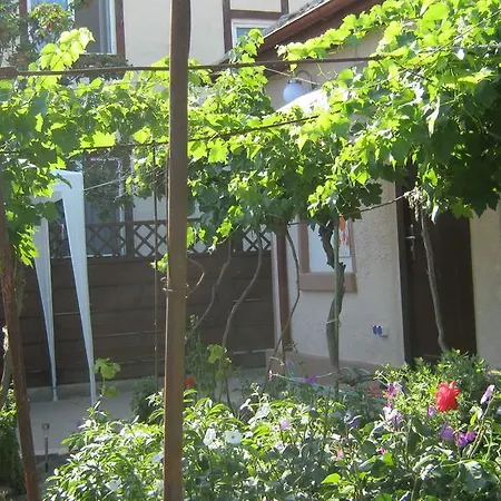 Tatil Evi Casa Dunny